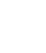 Koidev Icon